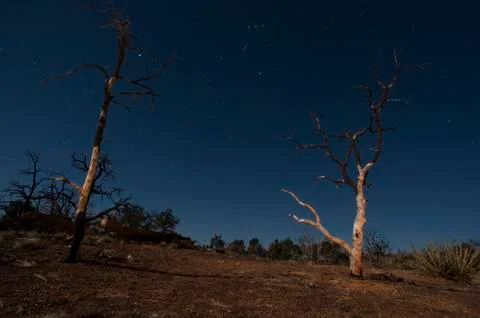 Mojave desert at night Stock Photos