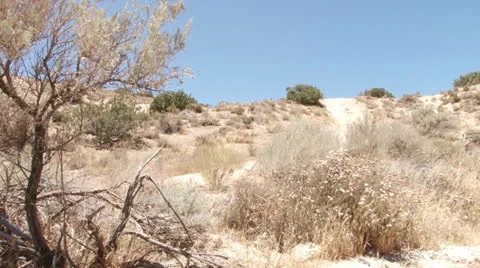 Mojave desert view hand held Stock Footage 25507275