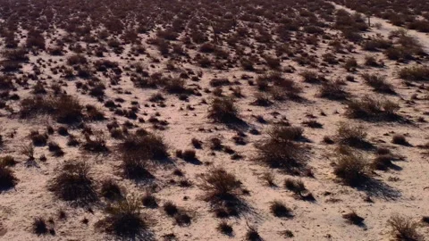 Mojave Wind Farm low fly from dirt road, then climb to turbines, graded vers Video stock 229429585