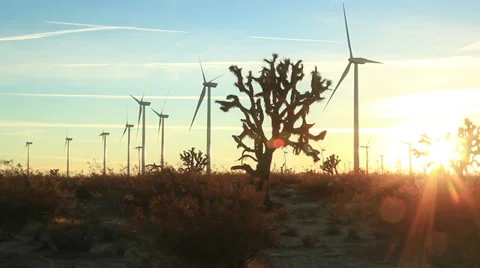Mojave Wind Farm Sunset 01 Video stock 39465552