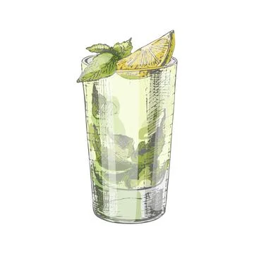 Mojito cocktail with lime and mint in highball glass. Vintage hatching vector Stock Illustration