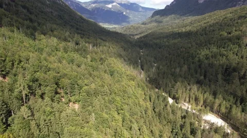 Mojstrana Valley 库存影片 159975321