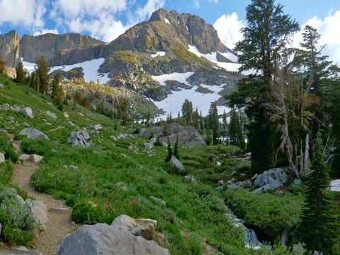Mokelumne Wilderness Stock Footage 79584529