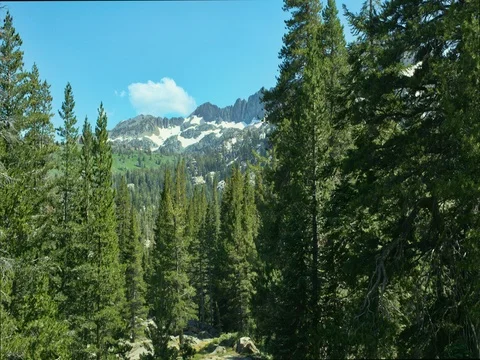 Mokelumne Wilderness Stock Footage 79587064
