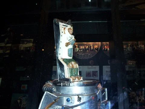 Mokeystraped Stock Photos