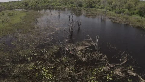 Mokoro Excursion In the Okavango Delta Stock Footage 261074840