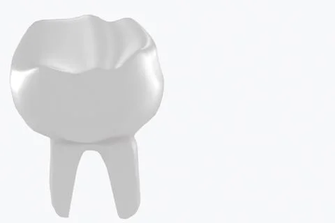 Molar tooth. The structure of the tooth. 3d medical illustration. Stock Illustration