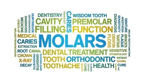 Molars animated word cloud,animation tag text kinetic typography seamless loop. Stock Footage 296204203