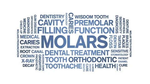 Molars animated word cloud,animation tag text kinetic typography seamless loop. Stock Footage 296204233