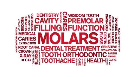 Molars animated word cloud,animation tag text kinetic typography seamless loop. Stock Footage 296204455
