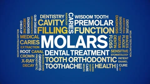 Molars animated word cloud,animation tag text kinetic typography seamless loop. Stock Footage 296206563