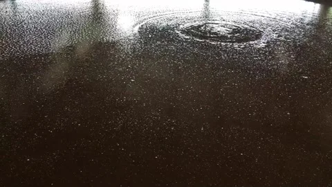 Molasses fermentation Stock Footage 134819233