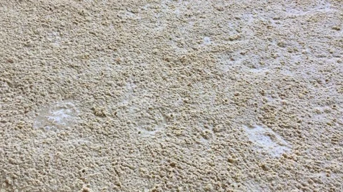 Molasses fermentation Stock Footage 134819253