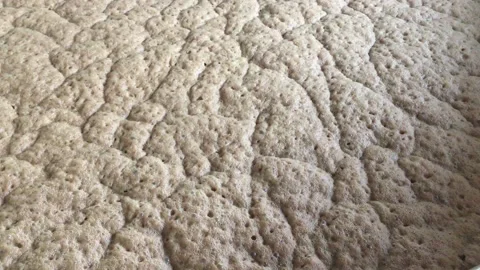 Molasses fermentation Stock Footage 134819283