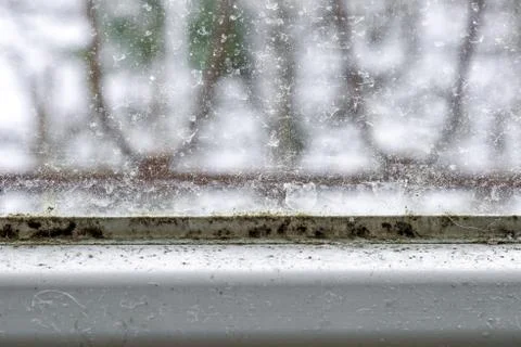 Mold and dirt on the window Stock Photos