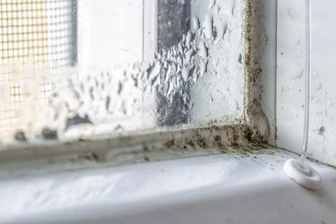 Mold and dirt on the window Stock Photos