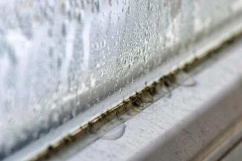 Mold and dirt on window Stock Photos