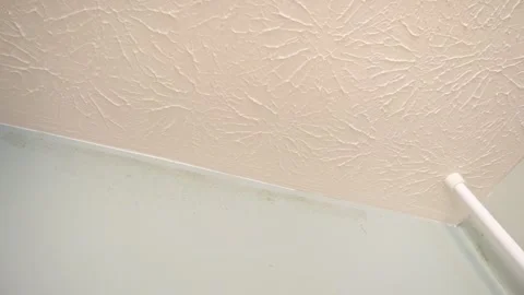 Mold and mildew on bathroom wall from moisture Video stock 336730564