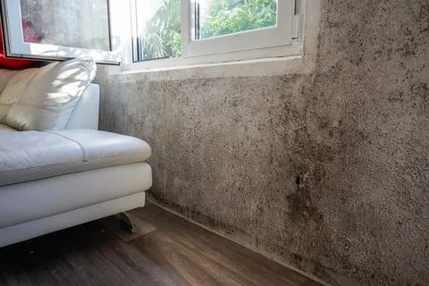 Mold and Mildew on Wall Under Window Next to Sofa Stock Photos