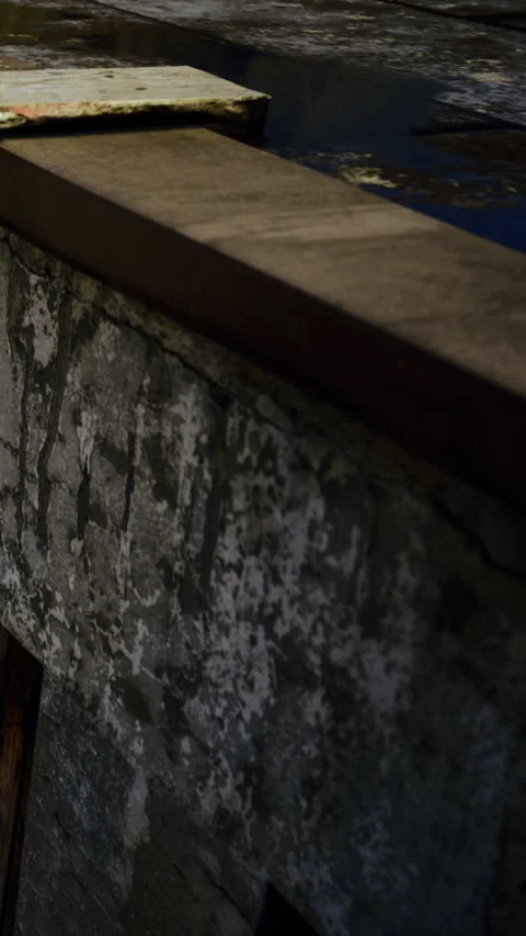 Mold and texture on a stone wall in a dim light setting Stock Footage 336187226