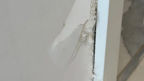 Mold and wall damage with visible crack and peeling plaster in home interior Stock Footage 330069628