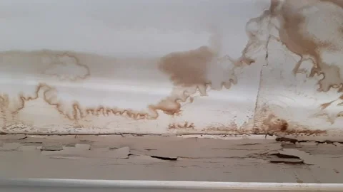 Mold and water damage on the plaster ceiling caused by a leaking roof Stock Footage 131521307