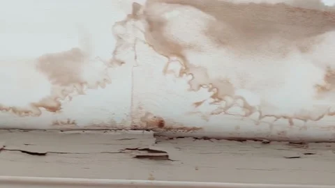 Mold and water damage on the plaster ceiling Stock Footage 168866918