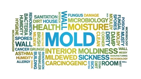 Mold animated word cloud,text animation tag kinetic typography seamless loop. Stock Footage 220620770