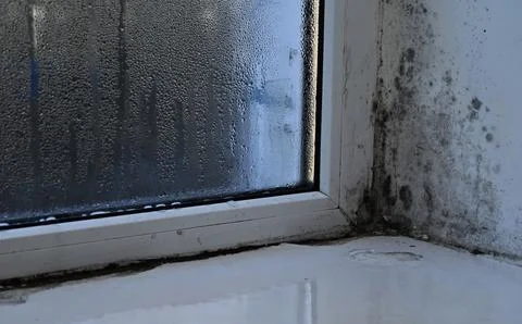Mold appearing on window frame and wall corner inside residential room, mould Stock Photos