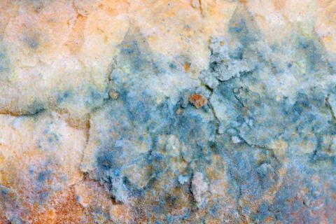 Mold background Stock Photos