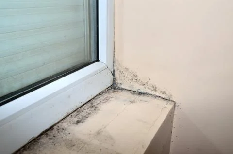 Mold below window Stock Photos