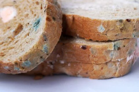 Mold on bread close up Stock Photos