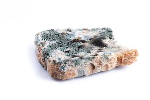 Mold bread closeup isolated Stock Photos