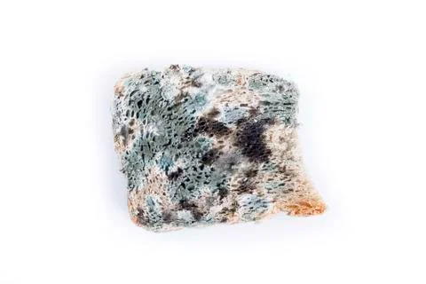 Mold bread closeup isolated Stock Photos