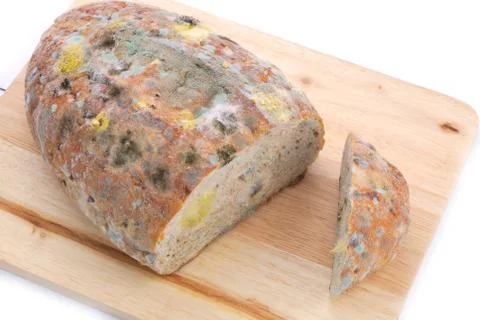 Mold on bread Stock Photos