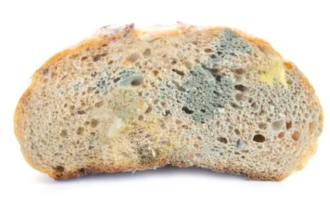 Mold on bread Stock Photos