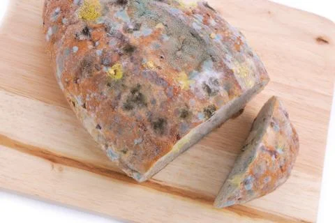 Mold on bread Stock Photos