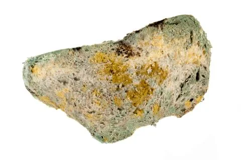 Mold on bread Stock Photos