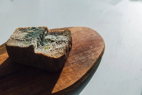 Mold on bread. Stock Photos