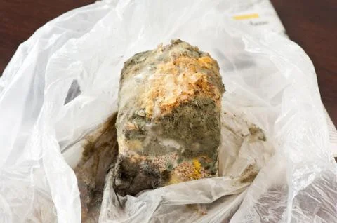 Mold on bread in plastic bag waste Stock Photos