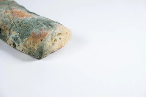 Mold on bread on a white background close-up. The danger of mold, stale products Stock Photos