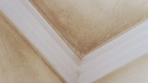 Mold on the ceiling and walls - zoom in footage Stock Footage 148077199
