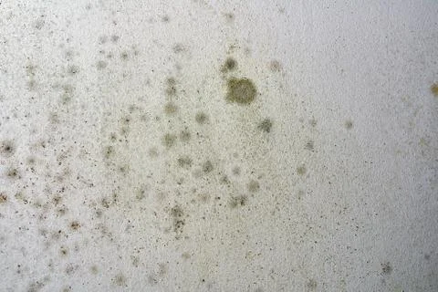 Mold on ceiling - the problem of ventilation, dampness, cold in the apartment. Stock Photos