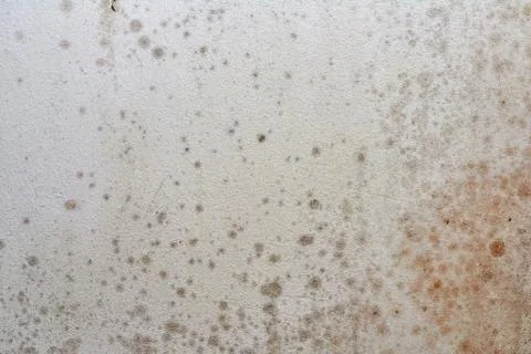 Mold on ceiling - the problem of ventilation, dampness, cold in the apartment. 写真素材