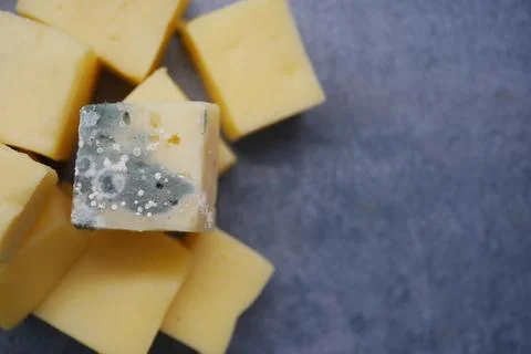 Mold on cheese cubes in a kitchen setting Stockfoto's
