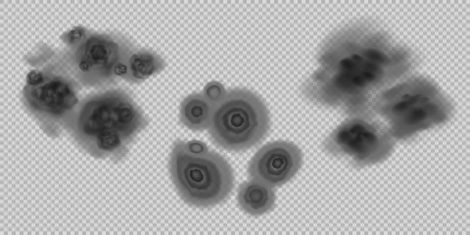 Mold colonies Stock Illustration