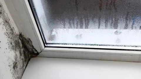 Mold contamination on window corner Stock Photos