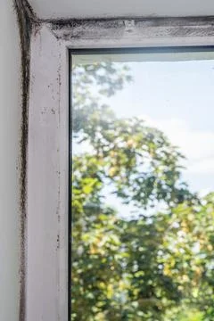 Mold in the corner of a plastic window Stock Photos