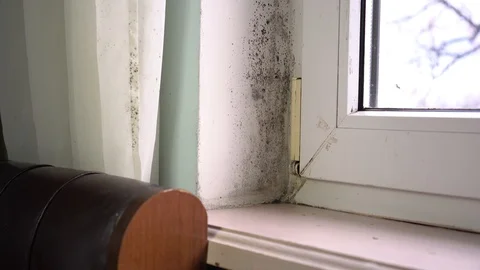 Mold in the corner of the plastic windows Stock Footage 100407129