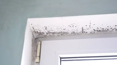 Mold In The Corner Of The Plastic Windows Stock Footage 103837213
